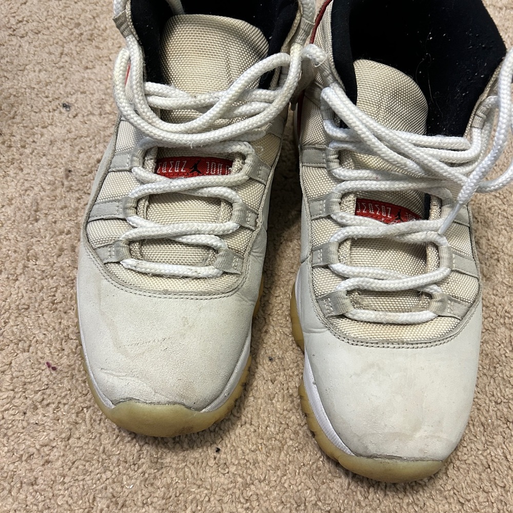 Jordan 11 platinum tint